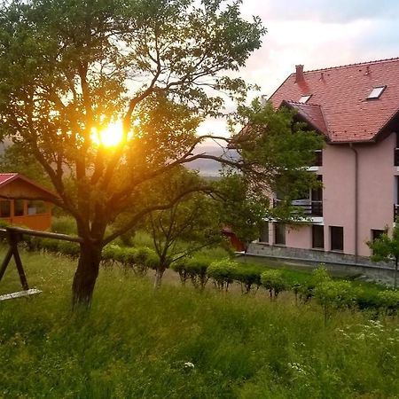 Hotel Sofia Бран Экстерьер фото